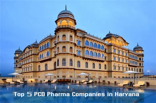 Top 5 PCD Pharma Companies in Haryana